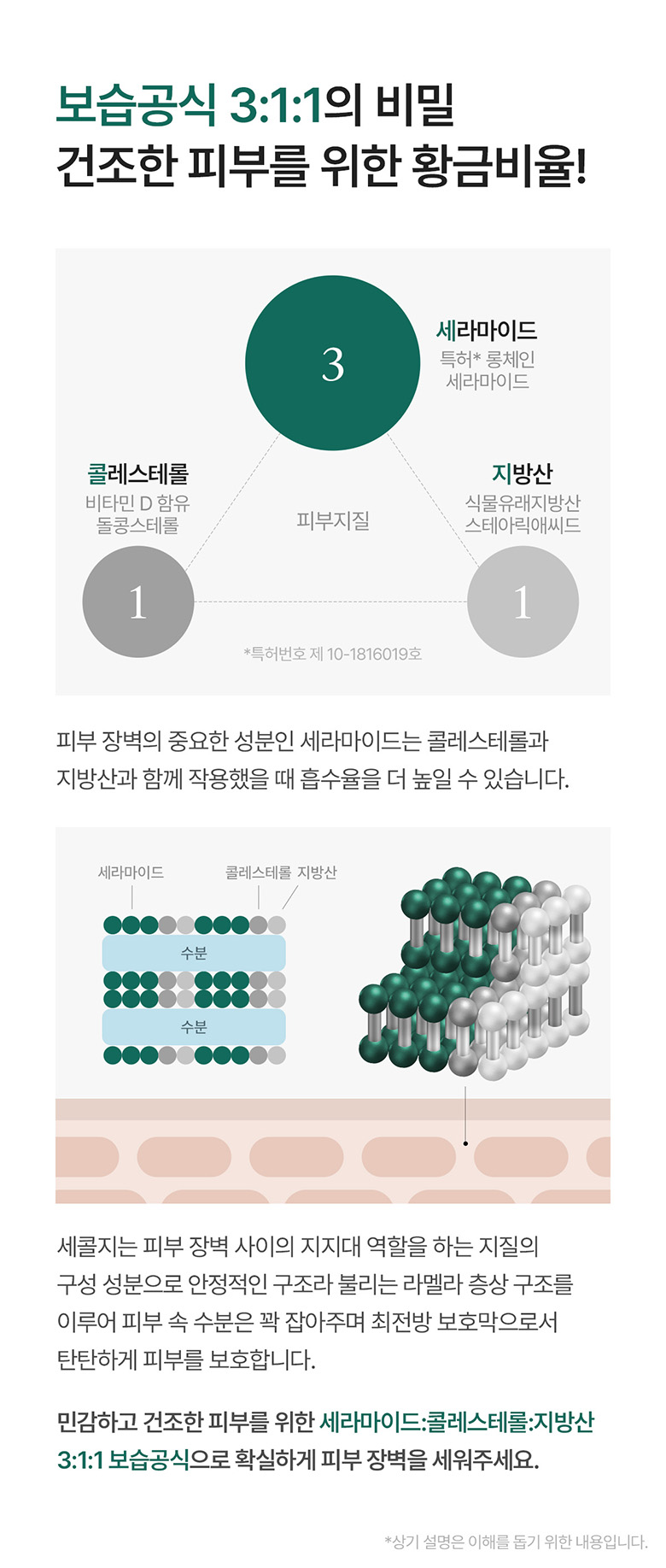웹상세_12